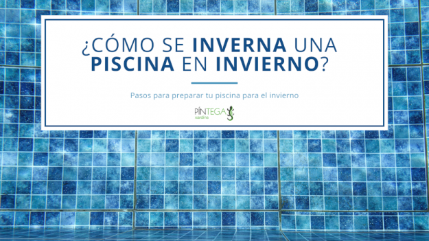 invernar la piscina en invierno con pintega