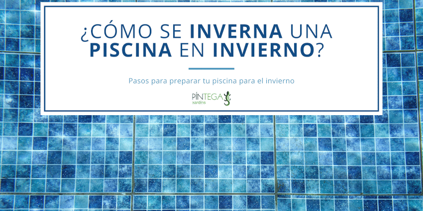 blog-pintega-invernar-piscina-invierno